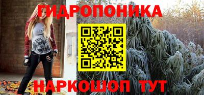 крисы Коммунар