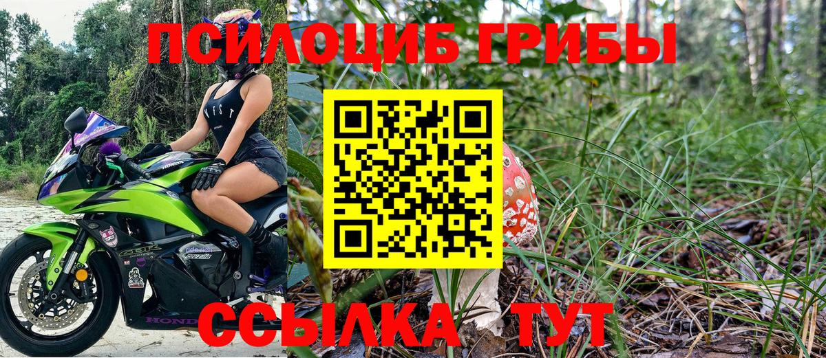 Коркино  Галлюциногенные грибы GOLDEN TEACHER  Вход с VPN  Галлюциногенные грибы мухоморы 