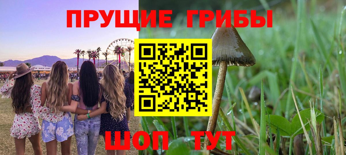 Псилоцибиновые грибы мицелий Коркино